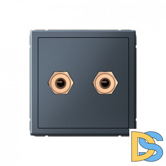 Акустическая Розетка двойная, Schneider Electric Art Gallery, цвет Грифель