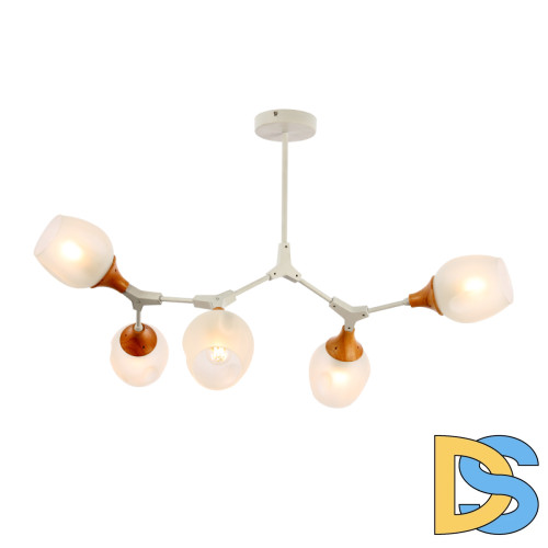 Потолочный светильник EVOLUCE CIOTOLLA SLE113502-05