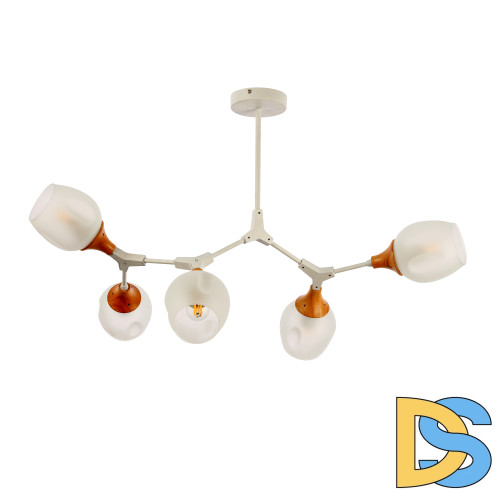 Потолочный светильник EVOLUCE CIOTOLLA SLE113502-05