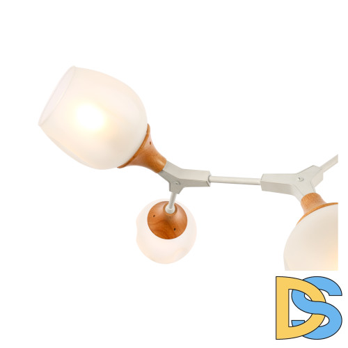 Потолочный светильник EVOLUCE CIOTOLLA SLE113502-05