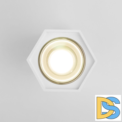 Накладной светодиодный светильник Elektrostandard 25036/LED 4690389176487