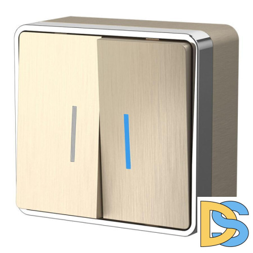 Выключатель двухклавишный с подсветкой Werkel Gallant шампань рифленый W5020110 4690389164200