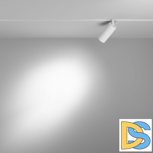 Трековый магнитный светильник Maytoni Focus LED TR032-2-5W4K-S-W