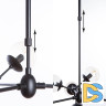 Подвесная люстра Arte Lamp A1664SP-12BK