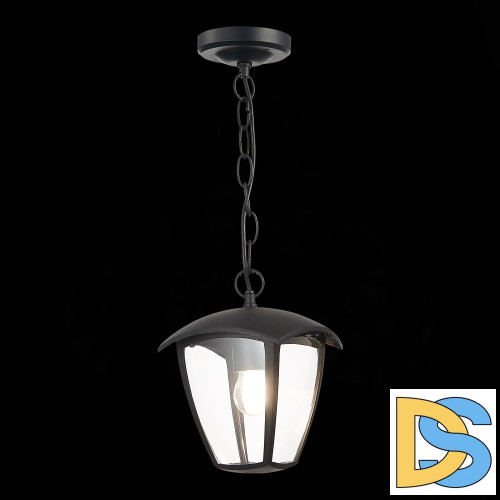 Уличный подвесной светильник ST Luce Sivino SL081.403.01