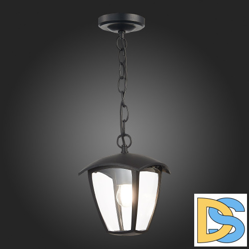Уличный подвесной светильник ST Luce Sivino SL081.403.01