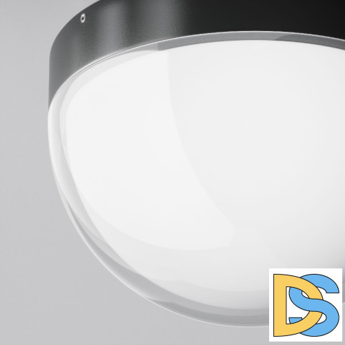 Уличный потолочный светильник Maytoni Mon O438CL-L12GF3K