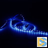 Светодиодная лента Gauss 4,8W/m 60LED/m 2835SMD синий 5M 355000505