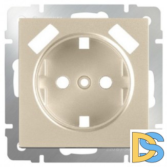 W1179511/ Накладка для розетки USB (шампань)