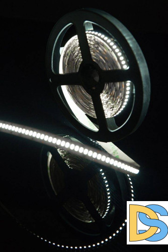 Светодиодная лента SWG SWG4240-12-24-W-M 009255