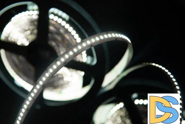 Светодиодная лента SWG SWG4240-12-24-W-M 009255