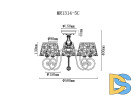 Потолочная люстра Myfar Luna MR1314-5C