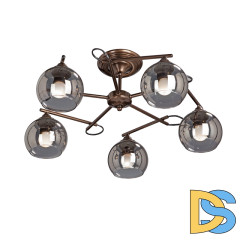 Потолочная люстра Vitaluce V4901-7/5PL