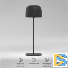 Уличная настольная лампа Elektrostandard Bitty TL70260 4690389211638 a069002