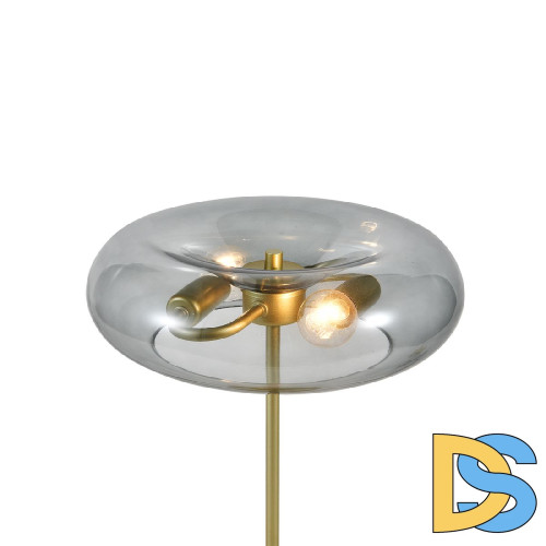 Настольная лампа Indigo Leggero 11062/2T Smoke V000543