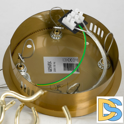 Подвесная люстра Lussole Adams LSP-8606