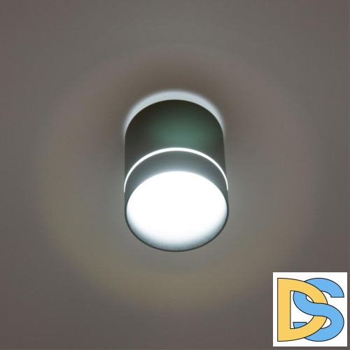 Накладной светильник Citilux Борн CL745011N