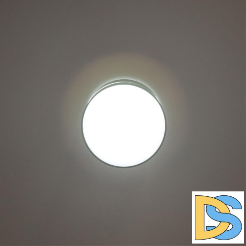 Накладной светильник Citilux Борн CL745011N