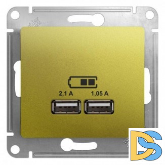 Розетка USB 2-ая (для подзарядки), Фисташковый, серия Glossa, Schneider Electric