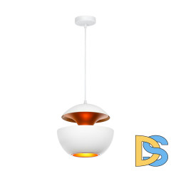 Подвесной светильник Loft IT LOFT2213-A