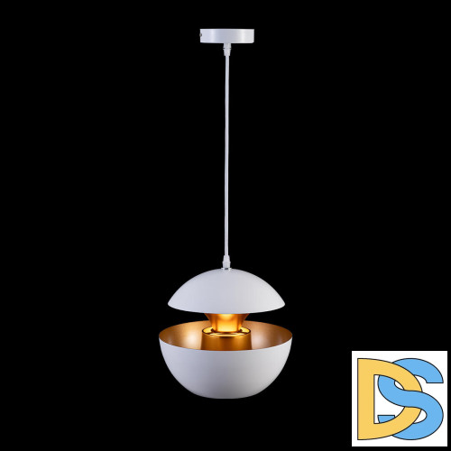 Подвесной светильник Loft IT LOFT2213-A