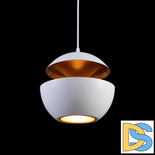 Подвесной светильник Loft IT LOFT2213-A