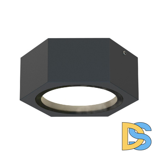 Уличный потолочный светильник Favourite Fantum 4667-1U