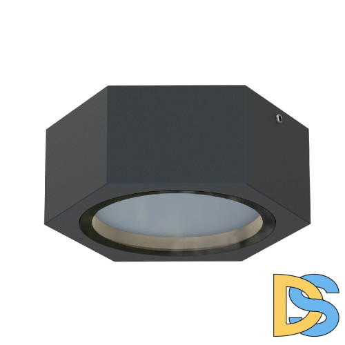 Уличный потолочный светильник Favourite Fantum 4667-1U