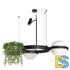 Подвесная люстра Loft IT Jardin 10121/2