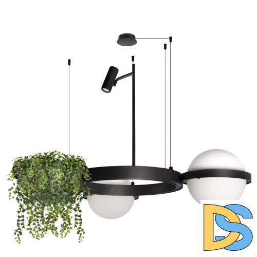 Подвесная люстра Loft IT Jardin 10121/2