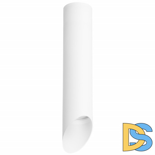 Потолочный светильник Lightstar RULLO R49636 (214496+201436)