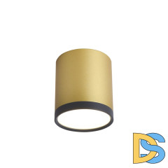 Накладной светильник Favourite Baral 3082-1C