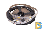 Светодиодная лента SWG SWG4240-12-24-NW-M 009254