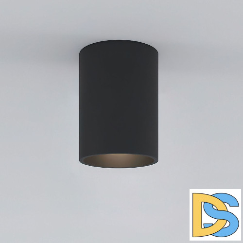 Накладной светильник Elektrostandard Porter 4690389198496 a064290