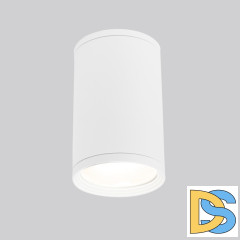 Уличный потолочный светильник Elektrostandard Light 4690389175893