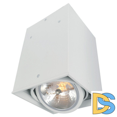 Потолочный светильник Arte Lamp Cardani A5936PL-1WH