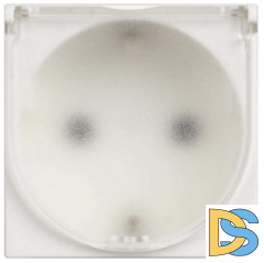 Розетка с землей, с крышкой 16А белая 2модуля Btichino Classia