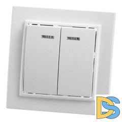 Выключатель двухклавишный Feron Stekker Эрна с подсветкой PSW10900201 39042