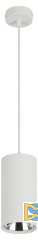 Подвесной светильник ЭРА PL12 GX53 WH/SL Б0048543