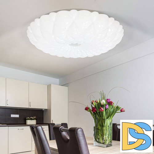 Потолочный светильник ЭРА SPB-6-40 Malo Б0051083