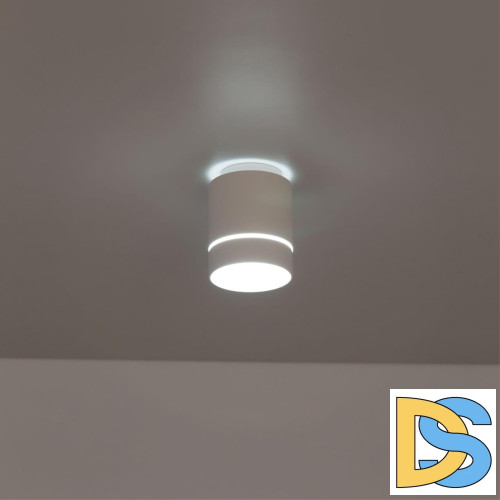 Накладной светильник Citilux Борн CL745010N