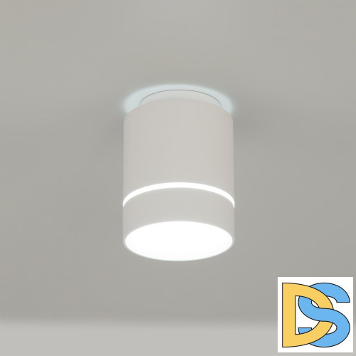 Накладной светильник Citilux Борн CL745010N