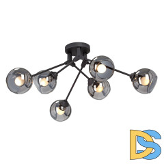 Потолочная люстра Vitaluce V4322-1/6PL