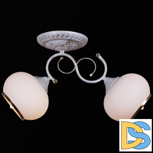 Потолочный светильник Reluce 31404-0.3-02