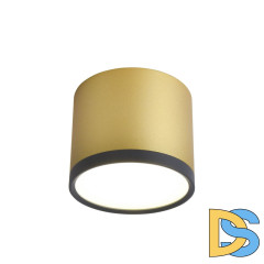 Накладной светильник Favourite Baral 3082-2C