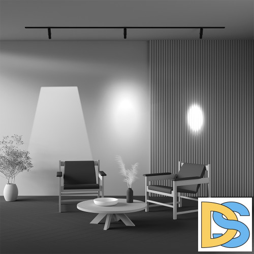 Трековый магнитный светильник Maytoni Gala TR108-2-10W3K-B