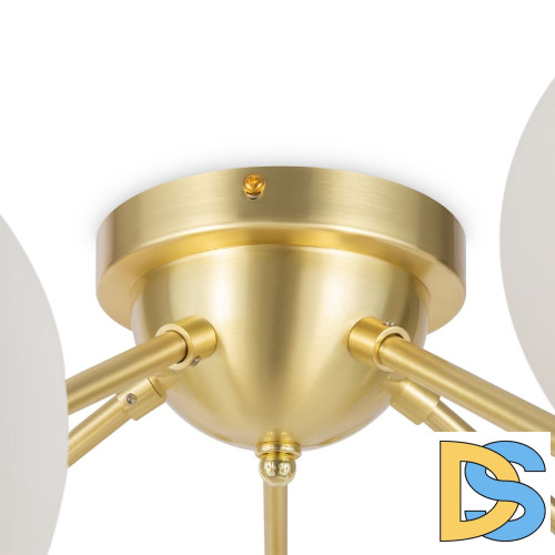 Потолочная люстра Maytoni Dallas MOD545CL-20BS