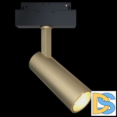Трековый светильник Maytoni Focus LED  TR019-2-10W3K-MG