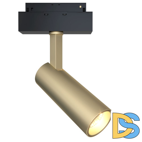 Трековый светильник Maytoni Focus LED  TR019-2-10W3K-MG