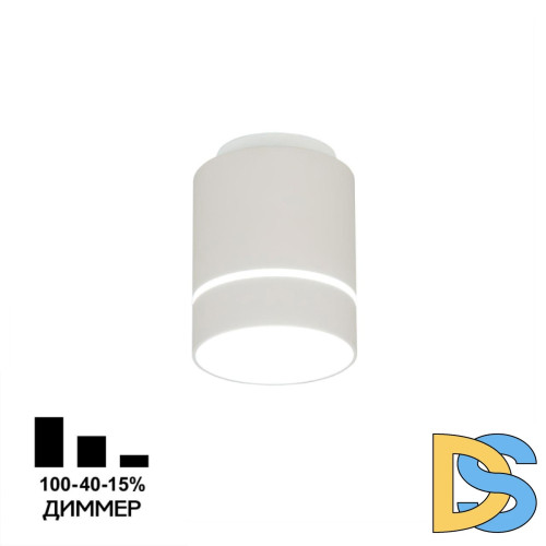 Накладной светильник Citilux Борн CL745020N